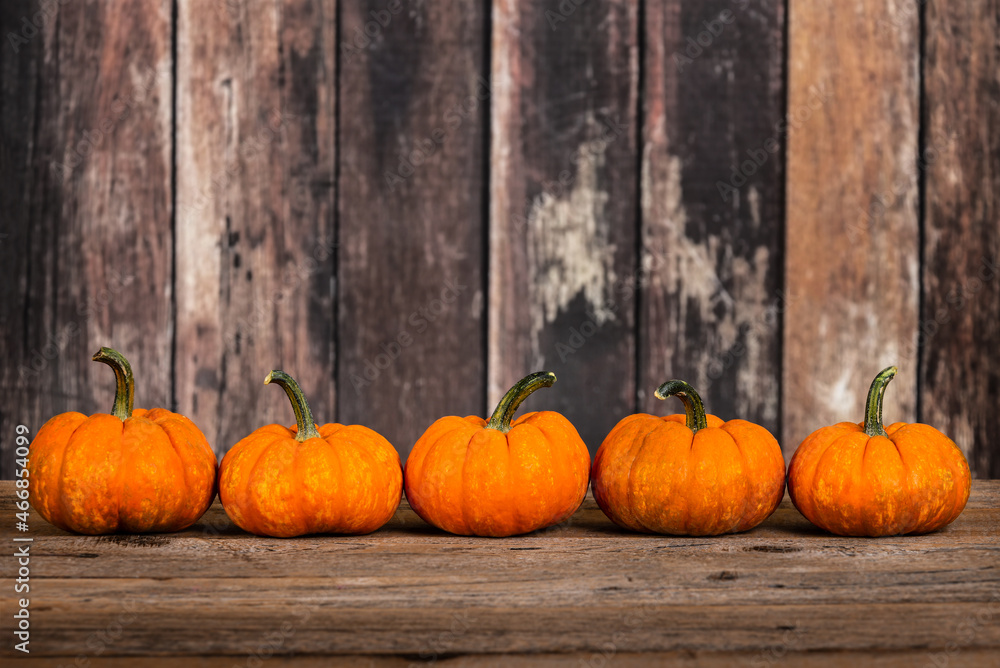 Mini pumpkins in a row against rustic wooden background, copy space. Mini pumpkins in a row against rustic wooden background, copy space.
