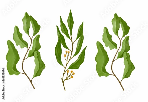 green watercolor leaves. Decorative beauty elegant illustration for design