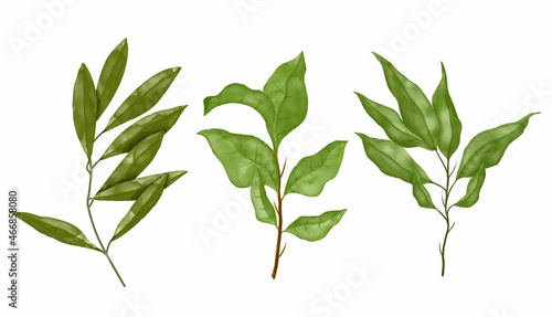 green watercolor leaves. Decorative beauty elegant illustration for design