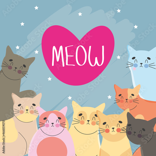 cute cats cartel