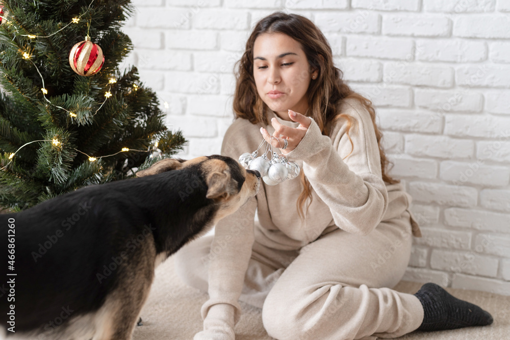 Obraz premium young attractive woman decorating the Christmas tree and playing with dogs