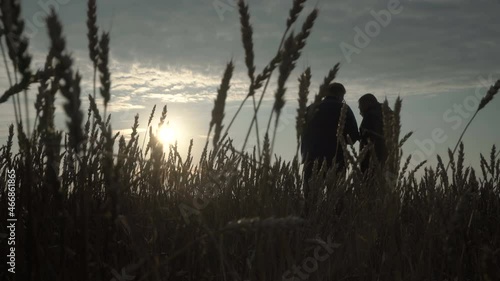 Businessman and agronomist are working in the field against the sunset. The wheat harvest is ripening in the field. Smart agro business.