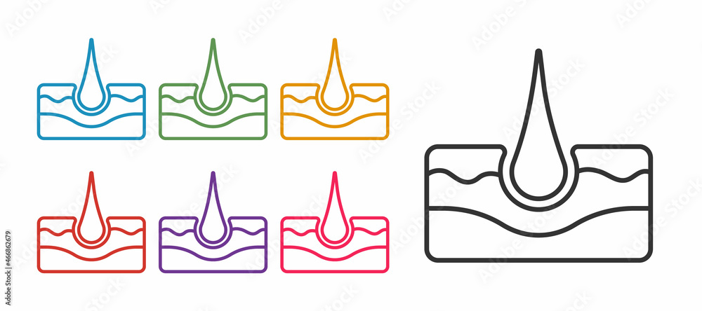 Set line Human hair follicle icon isolated on white background. Hair care treatment. Set icons colorful. Vector Set line Human hair follicle icon isolated on white background. Hair care treatment. Set icons colorful. Vector