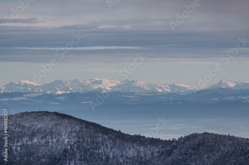 Wide panoramic view of the Swiss Alps from the Vosges mountain range in France during winter covered with snow