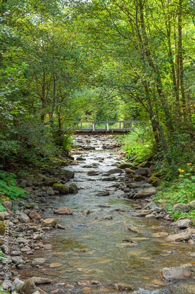 Mountain stream with clear water and pebble bottom. Bridge across the river. Green treesscled over the water. Nature of the Ukrainian Carpathians. Mountain stream with clear water and pebble bottom. Bridge across the river. Green treesscled over the water. Nature of the Ukrainian Carpathians.