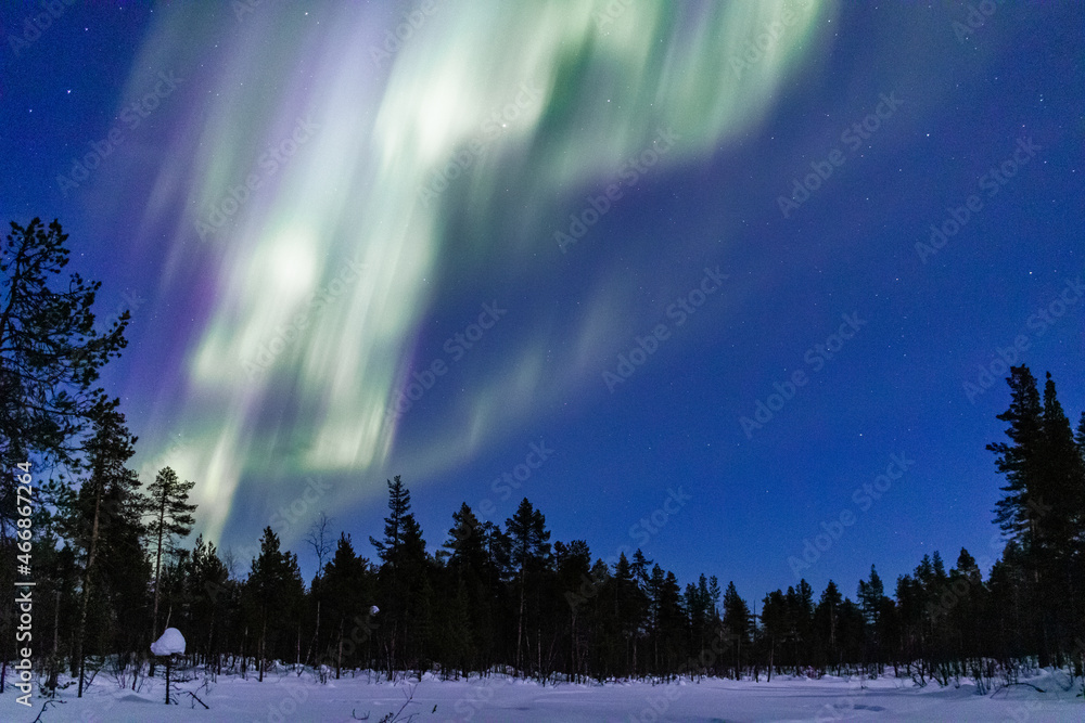 Aurora Borealis burst, dashing through the sky above the sleeping forest.