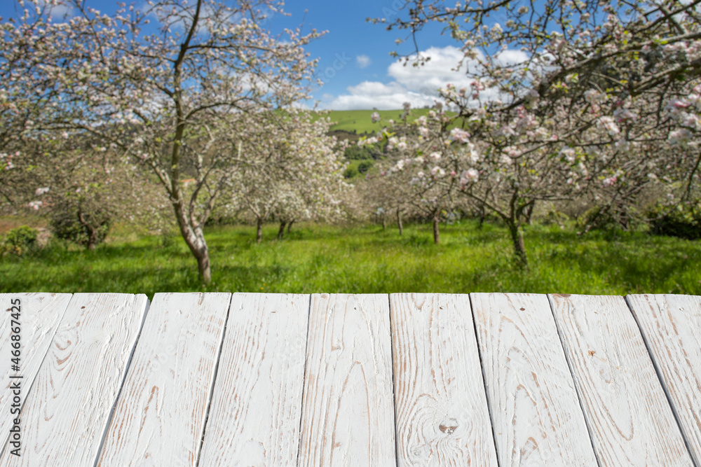 empty white wooden table for product. background of out of focus fruit trees in blossom. spring motif. copy space. product space. empty white wooden table for product. background of out of focus fruit trees in blossom. spring motif. copy space. product space.