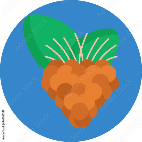 Salmonberry Icon. Exotic Fruit Icon.