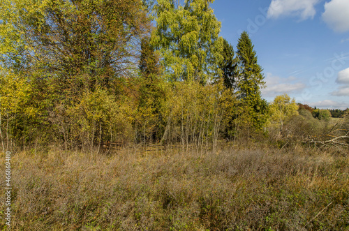 Bieszczadzkie panoramy 