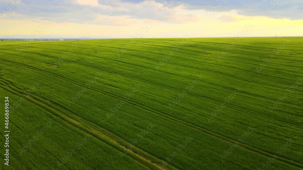 Aerial landscape view of green cultivated agricultural fields with growing crops on bright summer evening Aerial landscape view of green cultivated agricultural fields with growing crops on bright summer evening