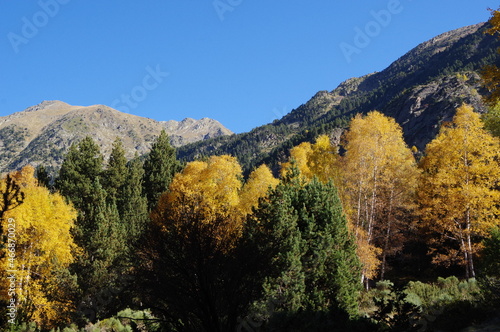 Fototapeta Naklejka Na Ścianę i Meble -  Forêt et montagne aux couleurs bucoliques de l'automne dans les Pyrénées