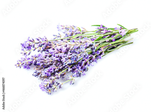 Lavender flowers