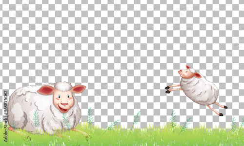 Many sheeps on transparent background