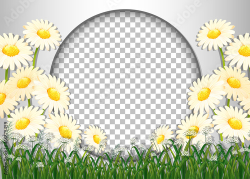 Round frame transparent with white flower field template