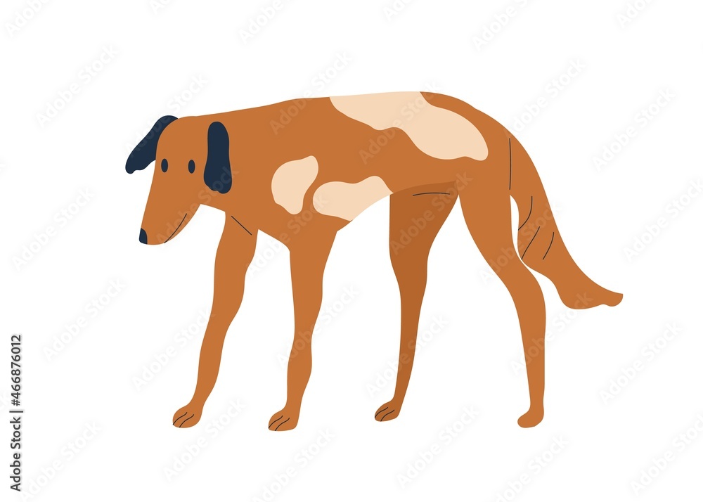 Stray dog standing. Skinny thin canine animal. Spotty flap-eared doggy. Hungry pet. Colored flat vector illustration of bicolor cur isolated on white background - obrazy, fototapety, plakaty 