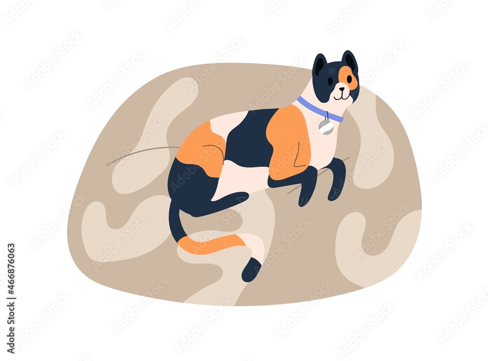 Fototapeta premium Cute home kitty lying in soft cat bed. Happy adorable kitten resting on comfortable pet cushion. Feline animal relax on comfy pillow in comfort. Flat vector illustration isolated on white background