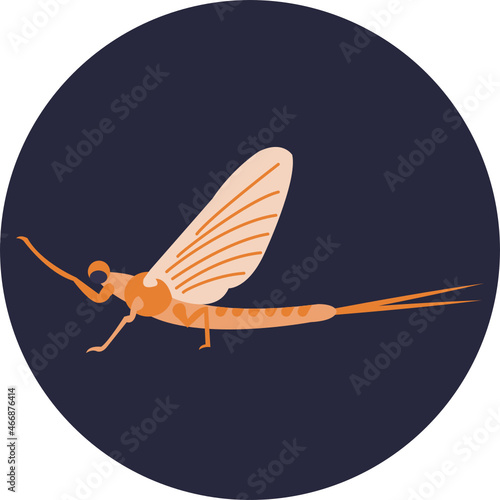 Mayfly Icon. Insects and Bugs Icon.