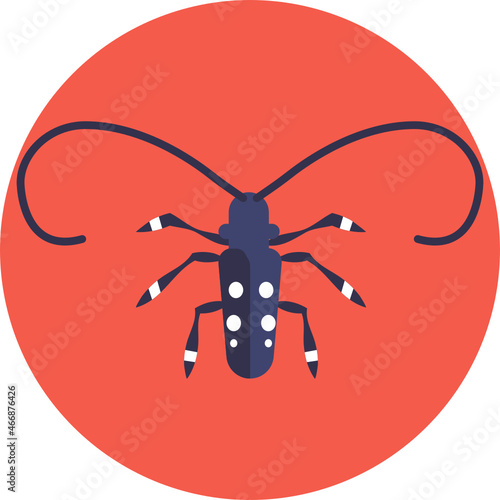 Longhorn Beetle Icon. Insects and Bugs Icon.
