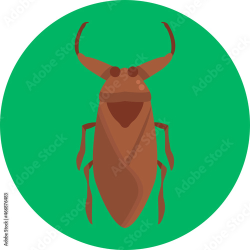 Water Bug Icon. Insects and Bugs Icon.