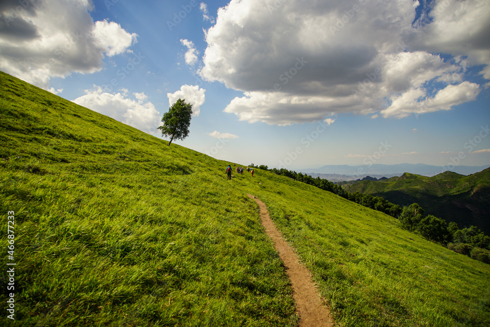 Obraz premium The path on the hillside, the green natural scenery is beautiful