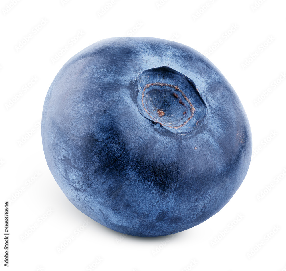Single blueberry berry isolated on white background. Blueberry with clipping path. Full depth of field. Single blueberry berry isolated on white background. Blueberry with clipping path. Full depth of field.