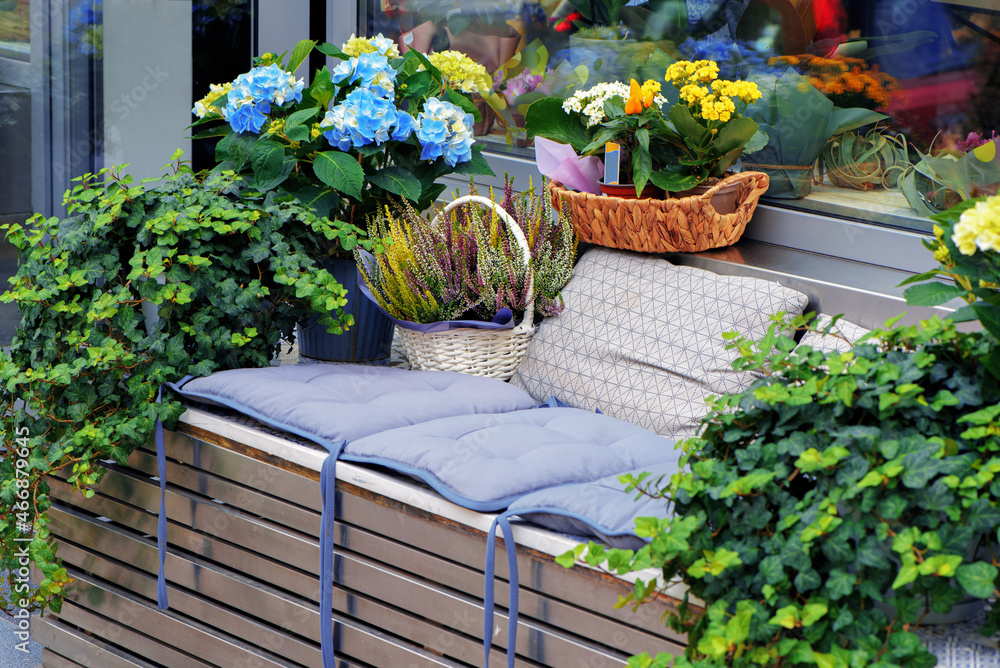 Flower arrangement with potted plants of hydrangea, ivy and heather at the entrance to flower shop in European city. Cozy seating area with cushions. Selective focus.
