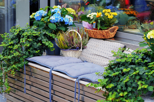 Obraz na płótnie Flower arrangement with potted plants of hydrangea, ivy and heather at the entrance to flower shop in European city. Cozy seating area with cushions. Selective focus. w salonie