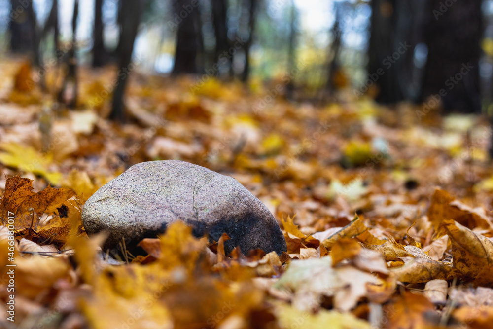 Stone lying on autumn leaves in the forest Stone lying on autumn leaves in the forest
