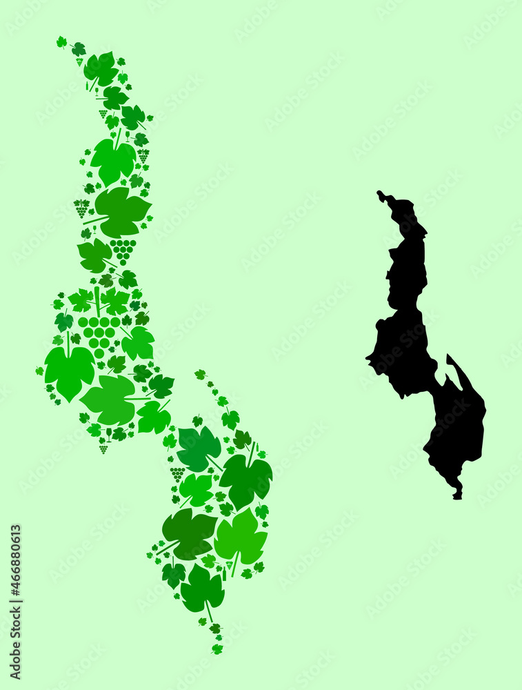 Vector Map of Malawi. Collage of green grape leaves, wine bottles. Map of Malawi collage composed with bottles, berries, green leaves. Abstract collage is useful for patriotic collages.