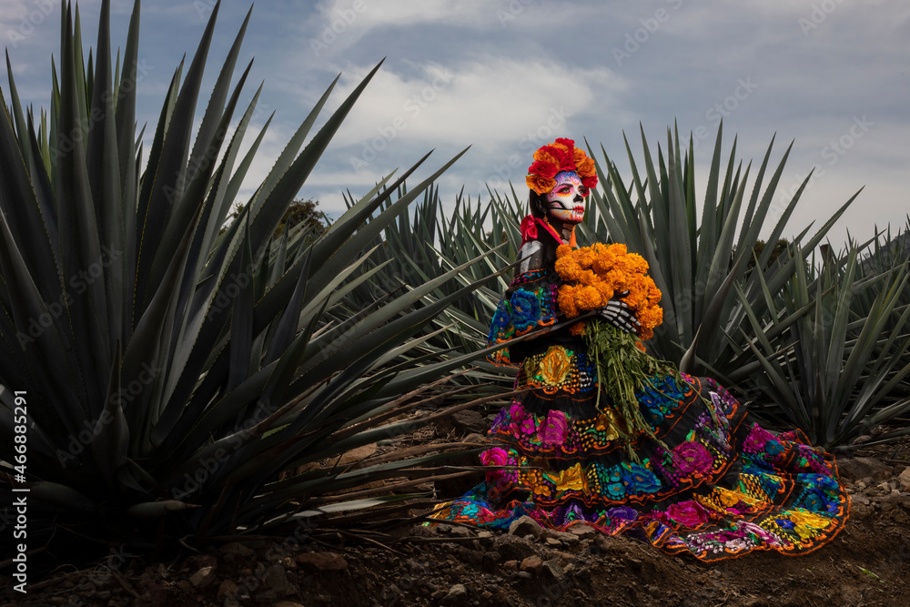 Fototapeta premium Catrina de Jalisco, Tradiciones Mexicanas.