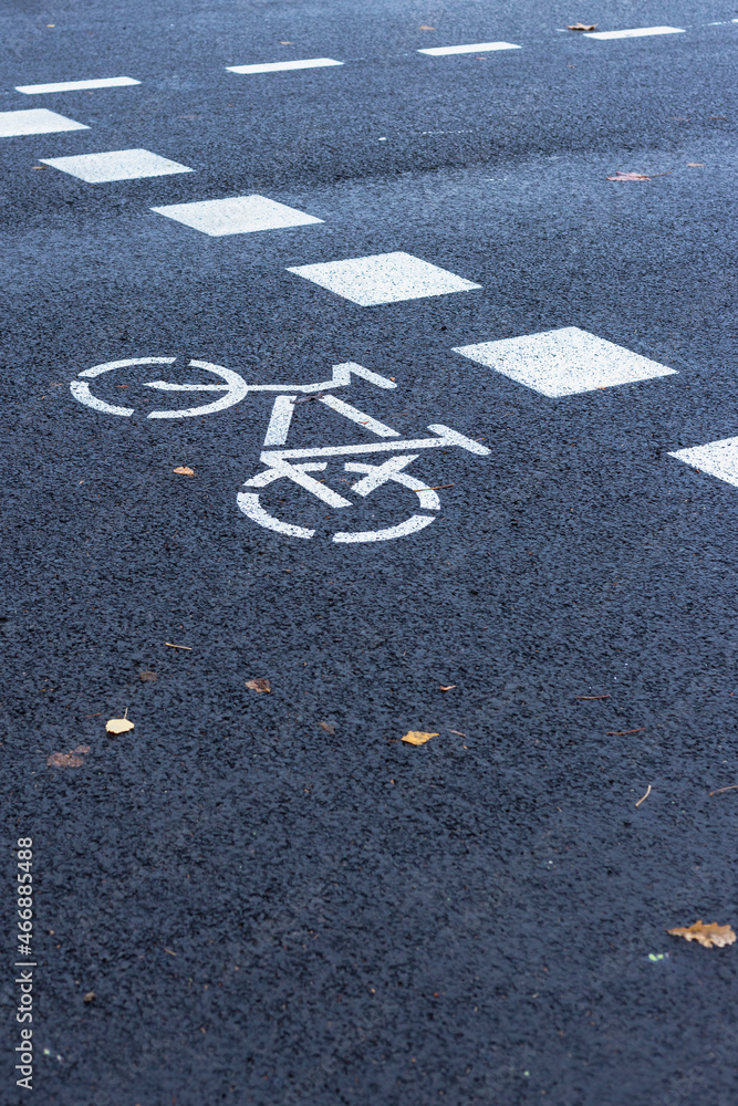 Fototapeta premium Bicycle path passing through the pedestrian crossing.