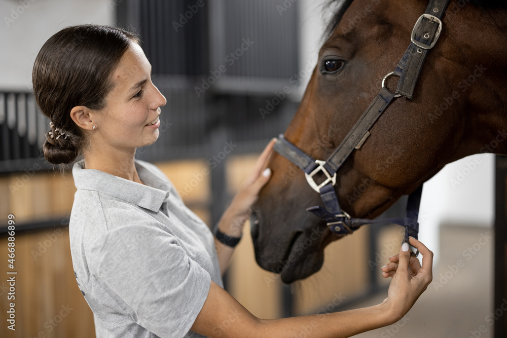 Obraz premium Side view of female horseman taking care of her brown Thoroughbred horse in stable. Concept of animal care. Rural rest and leisure. Idea of green tourism. Young european woman wearing uniform
