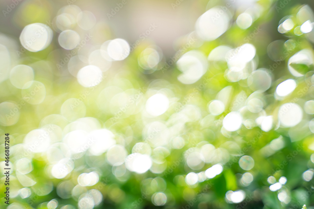 Bokeh leaf with sunlight, use for background. Bokeh leaf with sunlight, use for background.