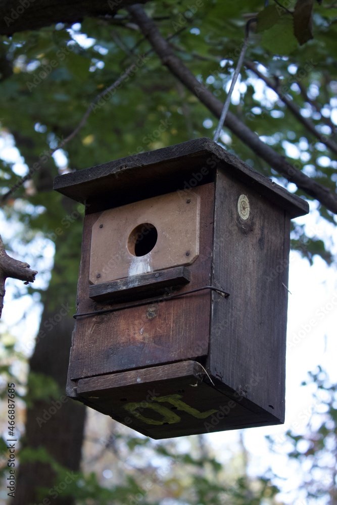 wooden bird house