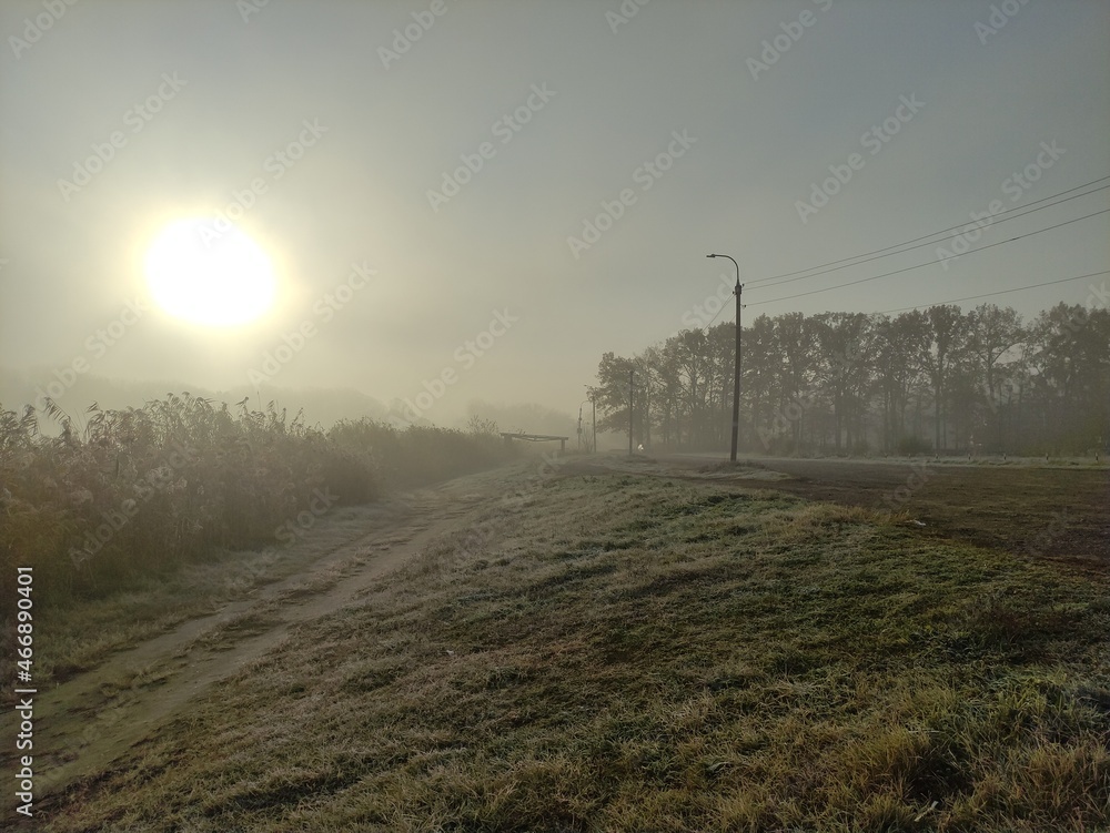 Frosty morning, frost and fog, sun through the fog, backlight