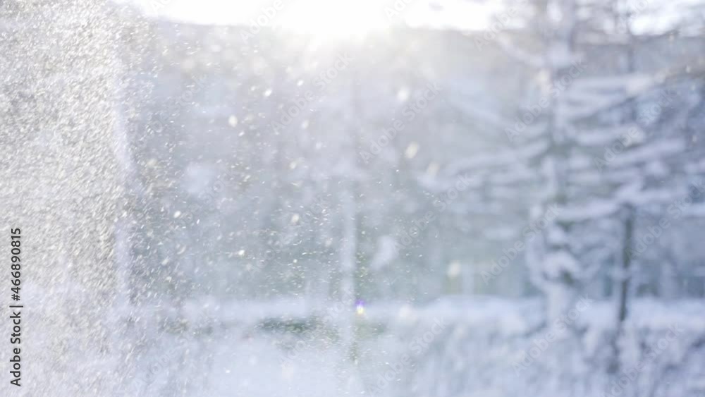 Happy young lady throwing up the snow up. Winter, sport, holidays, relationship, love, xmas, lifestyle concept. Filmed on cinema camera, 10 bit color space. Happy young lady throwing up the snow up. Winter, sport, holidays, relationship, love, xmas, lifestyle concept. Filmed on cinema camera, 10 bit color space.