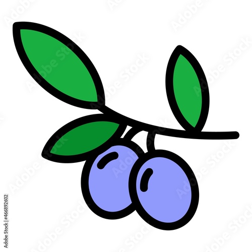 Greek olives branch icon. Outline greek olives branch vector icon color flat isolated