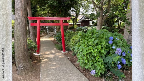 red wooden torii