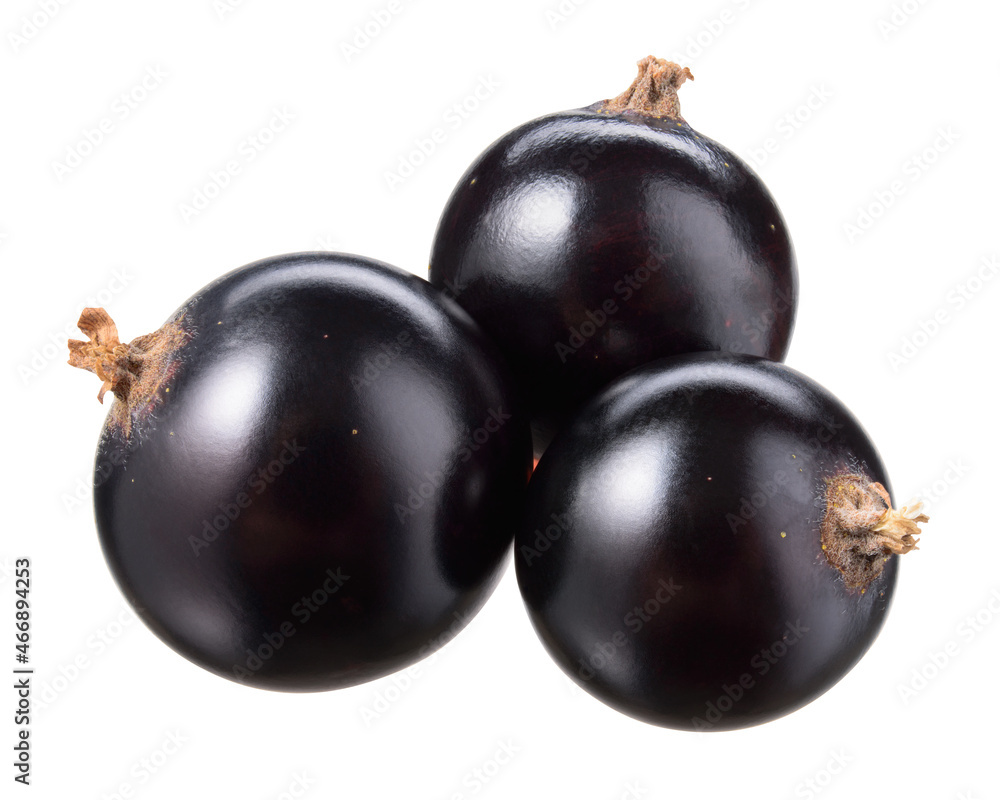 Black currant isolate. Currant black on white background with clipping path. Side view. Three berries with full depth of field. Black currant isolate. Currant black on white background with clipping path. Side view. Three berries with full depth of field.