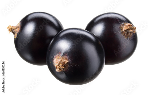 Black currant isolate. Currant black on white background with clipping path. Side view. Three berries with full depth of field.