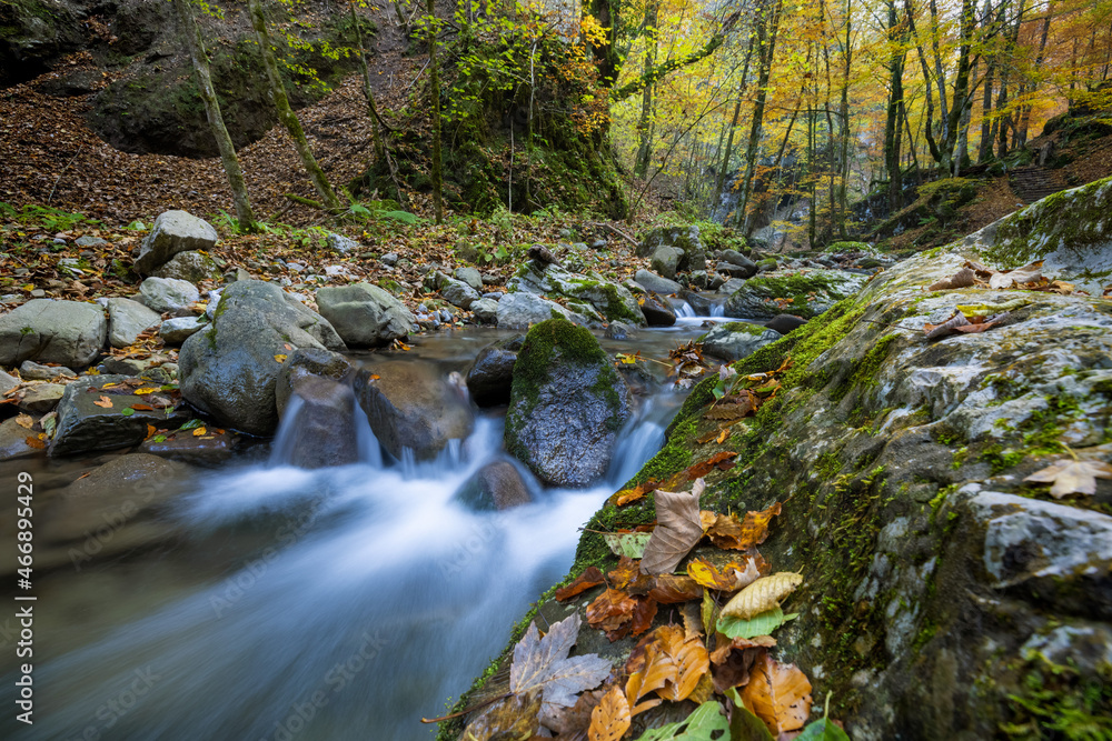 Rocks covered by the moss in autumn on a stream with the rapids, Zeleni vir, Croatia Rocks covered by the moss in autumn on a stream with the rapids, Zeleni vir, Croatia