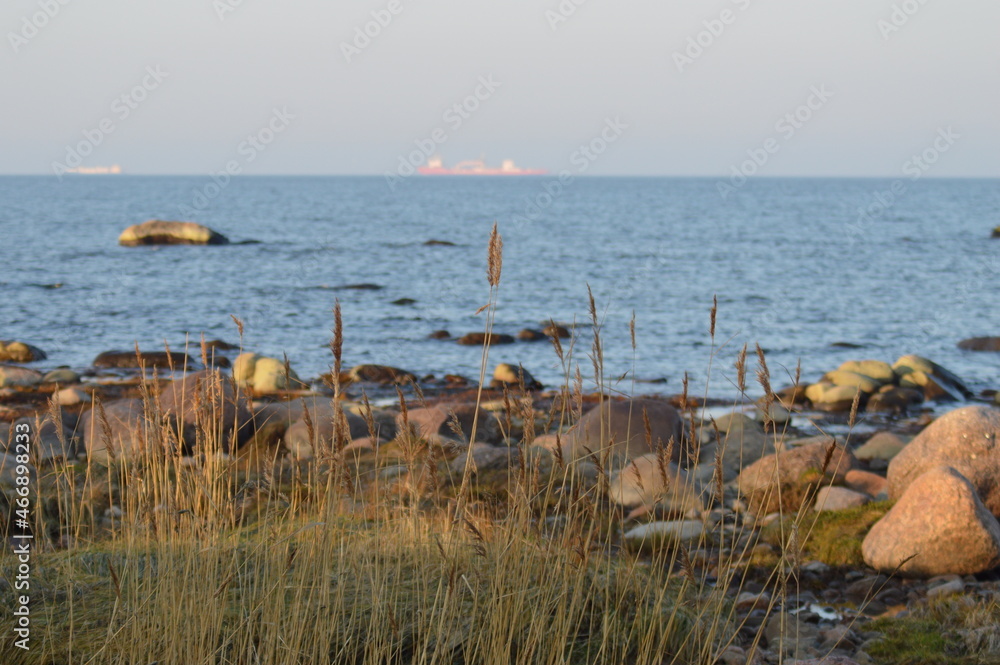 The southern shore of the Gulf of Finland, Lomonosovsky district, Leningrad Region, Russia
