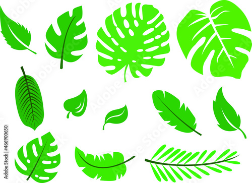 Leaf Vector Flat Illustration