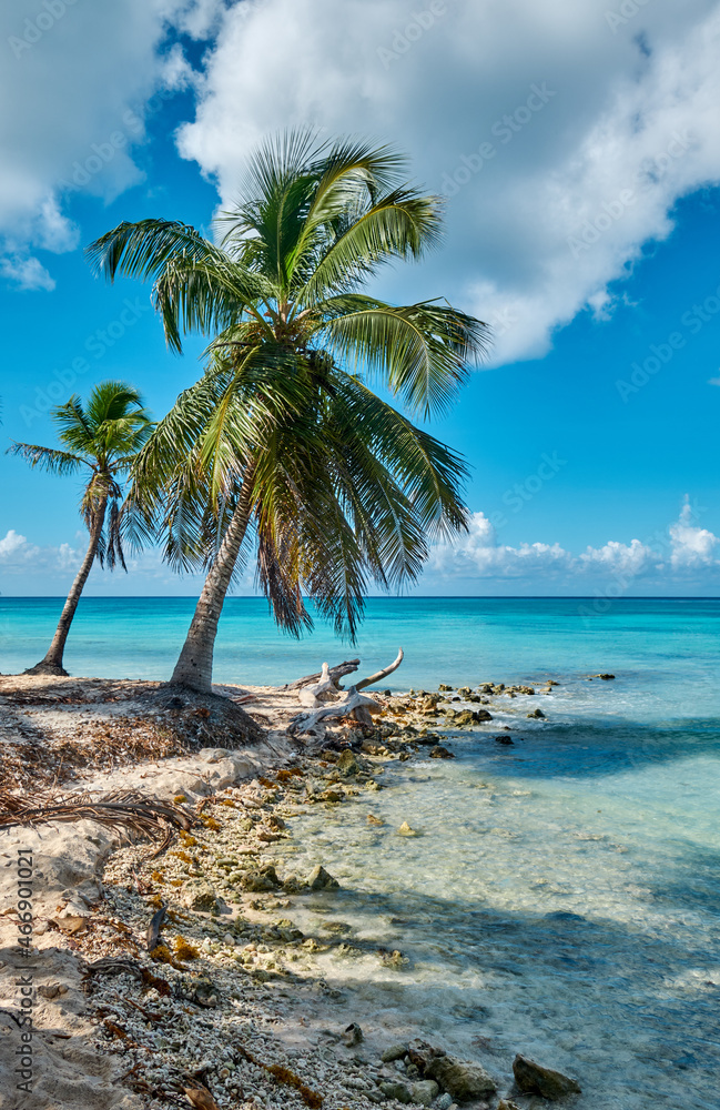 Obraz premium Beautiful seascape. Saona Island and the Caribbean Sea.