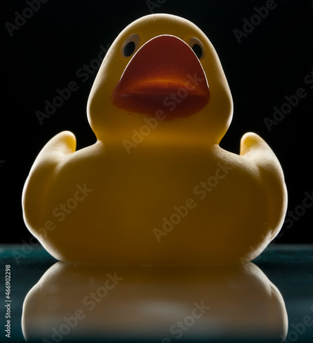 Yellow rubber duck isolated on black with rim light