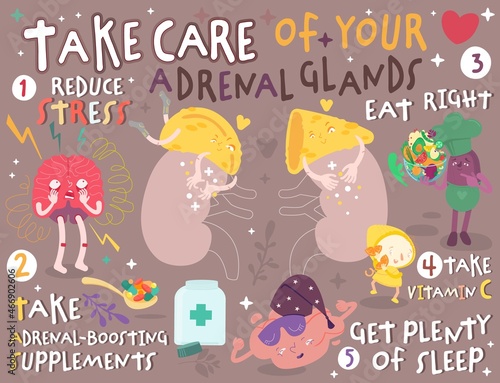 Take care of your adrenal glands. Creative landscape poster in modern style.
