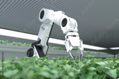 Smart robotic farmers concept, robot farmers, Agriculture technology, Farm automation. photo