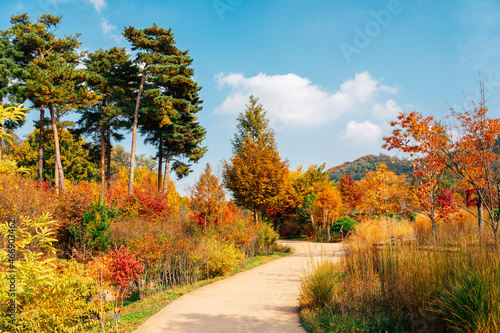 Autumn of Pureun arboretum near Hangdong Railroad in Seoul, Korea