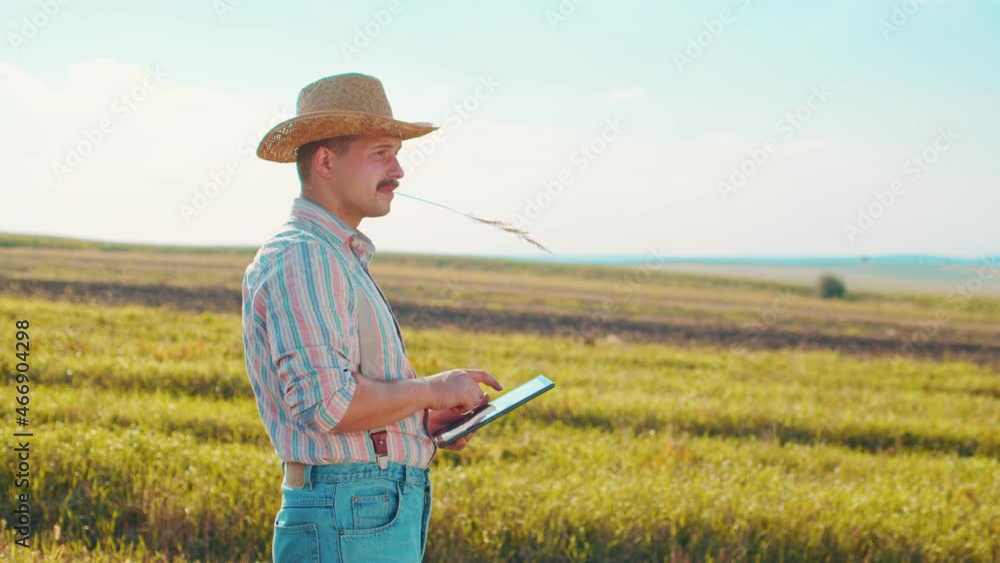 Farmer using tablet in wheat field. Male scientist working in field with agriculture technology. Close up of man touching tablet pc in wheat stalks. Agronomist researching wheat ears Farmer using tablet in wheat field. Male scientist working in field with agriculture technology. Close up of man touching tablet pc in wheat stalks. Agronomist researching wheat ears