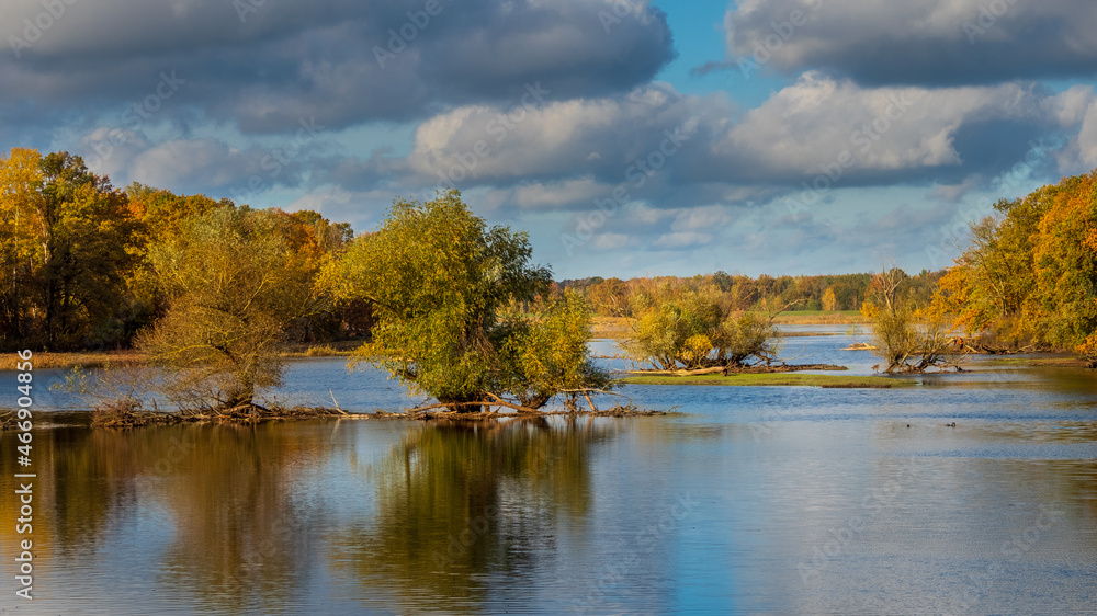 Die Oder im Herbst